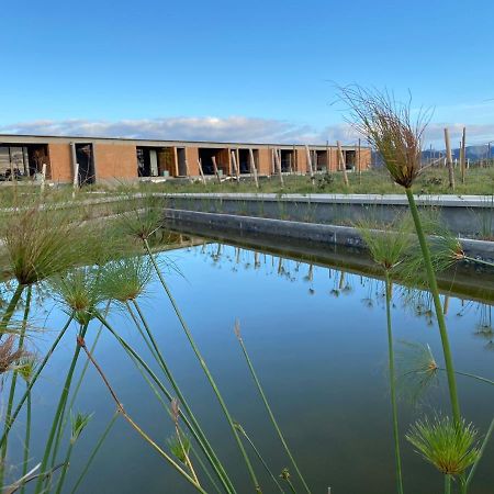Bed and Breakfast Santulan Valle de Guadalupe Exterior foto