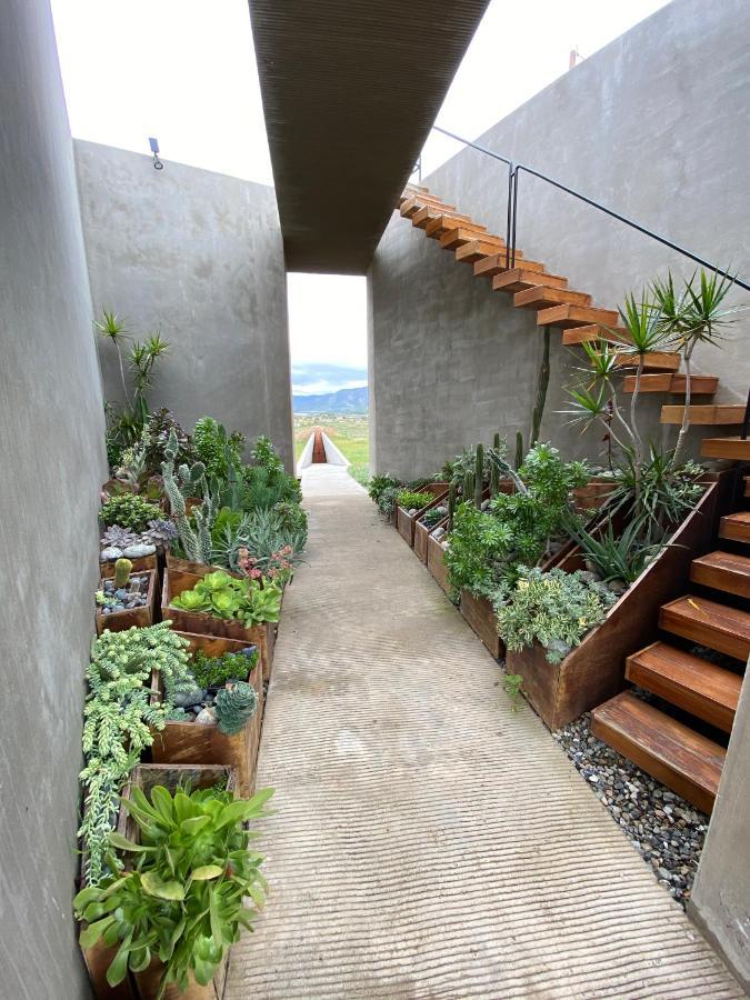 Bed and Breakfast Santulan Valle de Guadalupe Exterior foto