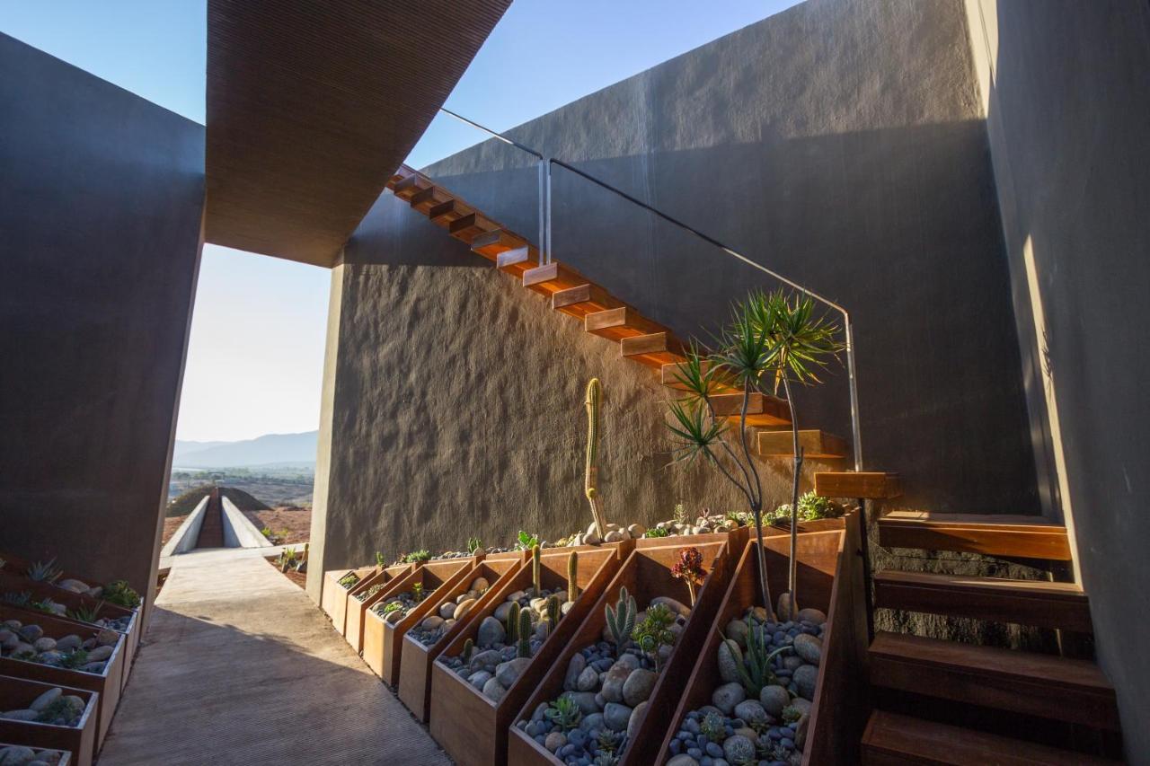 Bed and Breakfast Santulan Valle de Guadalupe Exterior foto